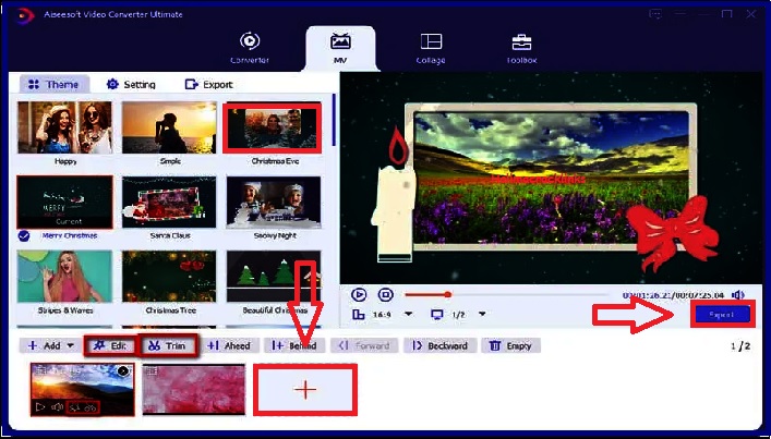 Aiseesoft Video Converter Ultimate Keys